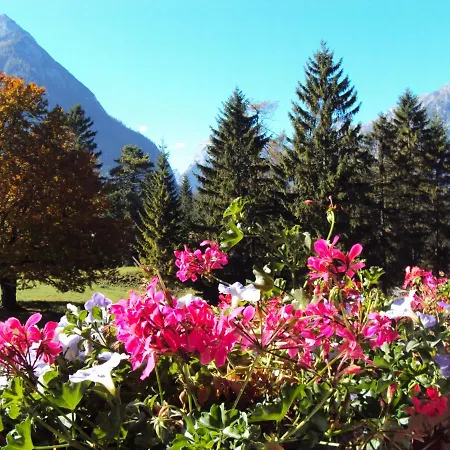 Bergheim Pertisau