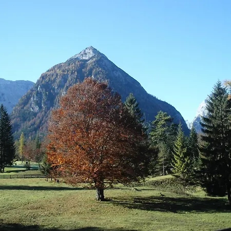 Casa de hóspedes Bergheim Pertisau