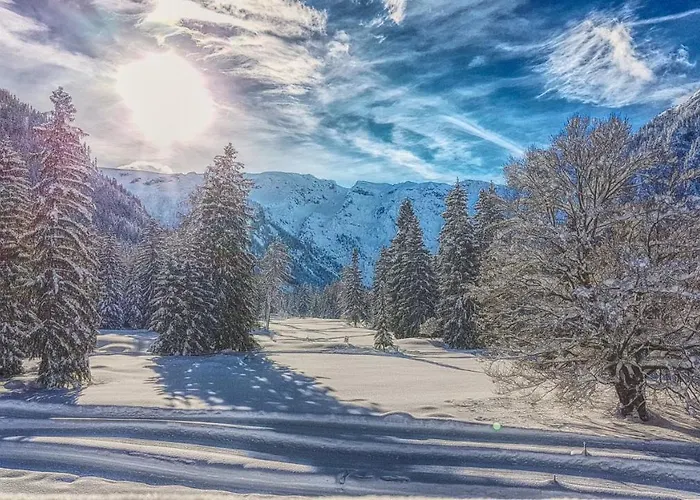 Vendégház Bergheim 3*