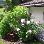 Bergheim 3*