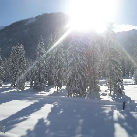 Bergheim 3* Pertisau