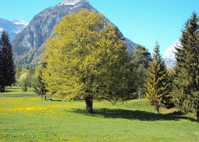 Pensionat Bergheim 3*