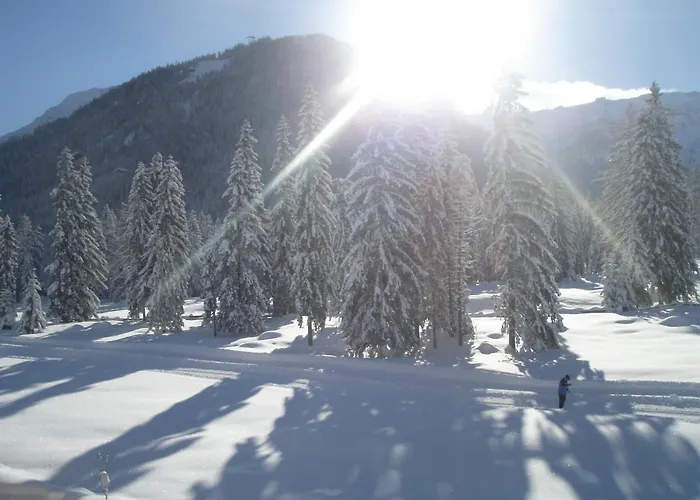 Bergheim 3* Pertisau