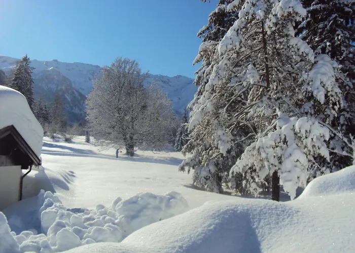 Bergheim Pensionat 3*