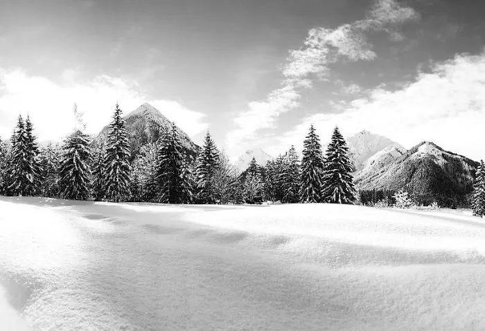 Pensionat Bergheim 3*