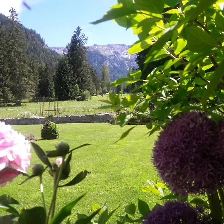 Bergheim * Pertisau