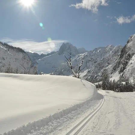 Bergheim Pertisau