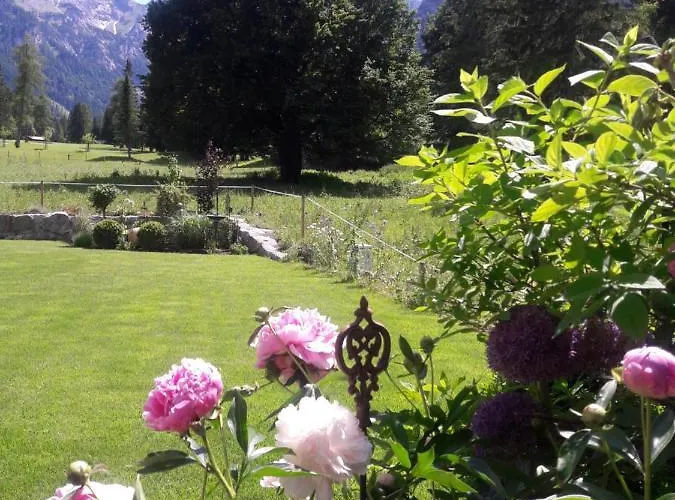 Guest house Bergheim